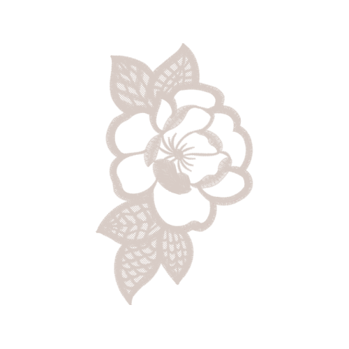 Dendrobium Flowers Dendrobium Flowers