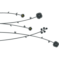 Diagram Flowers Diagram Flowers