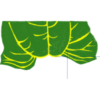 Diagram Flowers Diagram Flowers