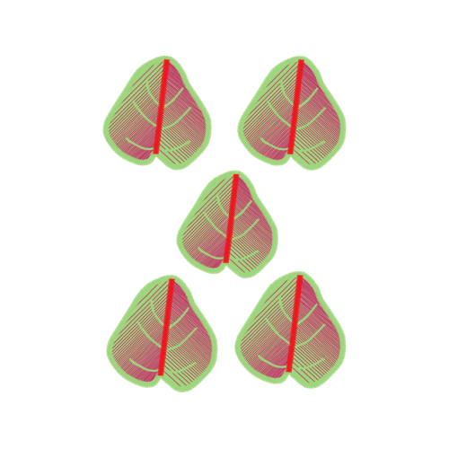 Diagram Flowers Diagram Flowers