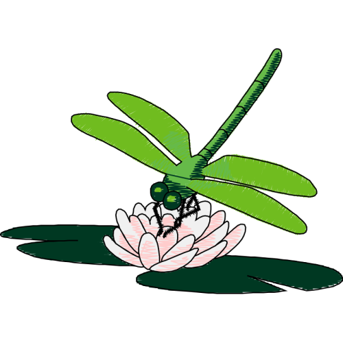 Dragonfly Flowers Dragonfly Flowers