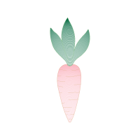 Drawing Flowers Drawing Flowers