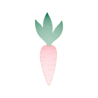 Drawing Flowers Drawing Flowers