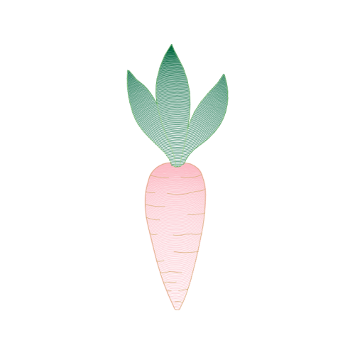 Drawing Flowers Drawing Flowers