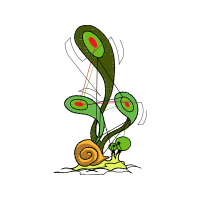 Drawing Flowers Drawing Flowers