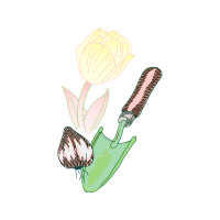 Drawing Flowers