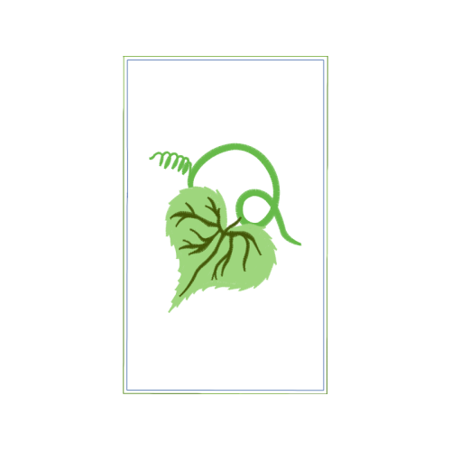 Drawing Flowers Drawing Flowers