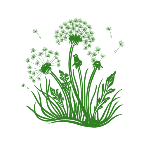 Drawing Flowers Drawing Flowers