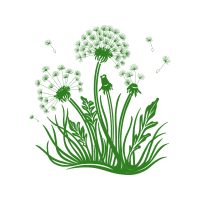 Drawing Flowers Drawing Flowers