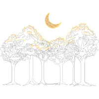 Drawing Flowers Drawing Flowers