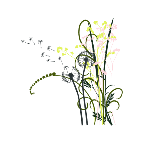 Drawing Flowers Drawing Flowers