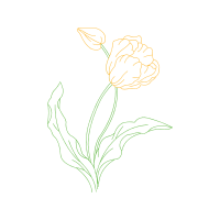 Drawing Flowers
