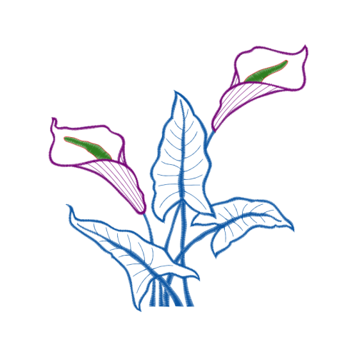 Drawing Flowers Drawing Flowers