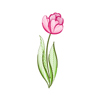 Drawing Flowers Drawing Flowers