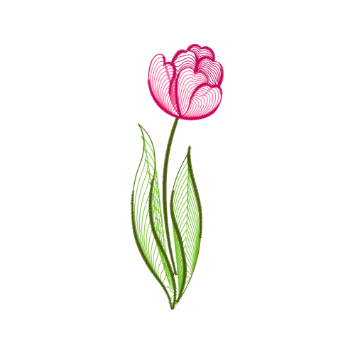 Drawing Flowers Drawing Flowers