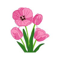 Drawing Flowers Drawing Flowers