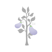 Drawing Flowers Drawing Flowers