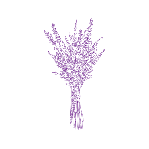 Drawing Flowers Drawing Flowers