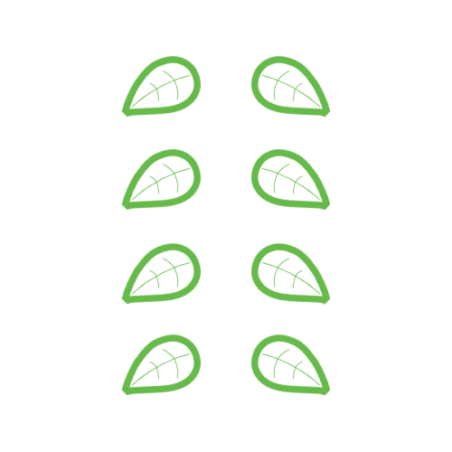 Drawing Flowers Drawing Flowers