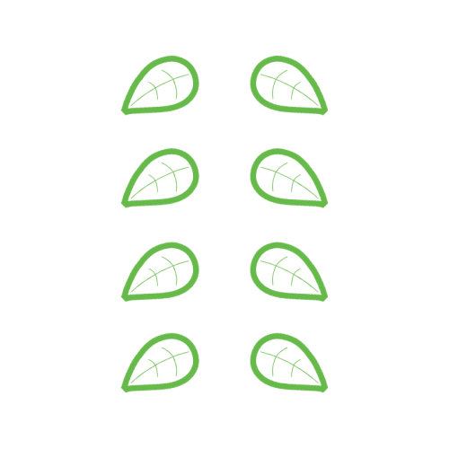 Drawing Flowers Drawing Flowers