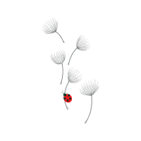 Drawing Flowers Drawing Flowers