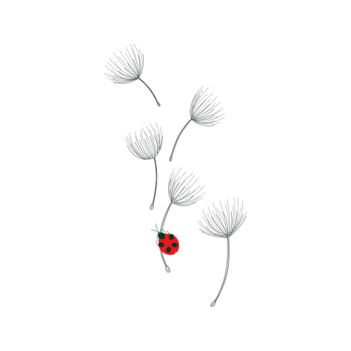 Drawing Flowers Drawing Flowers