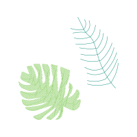 Drawing Flowers Drawing Flowers