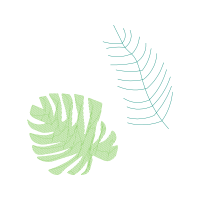 Drawing Flowers Drawing Flowers