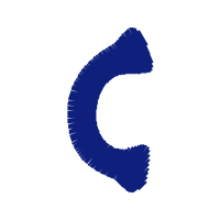 Endotransglucosylase Flowers Endotransglucosylase Flowers