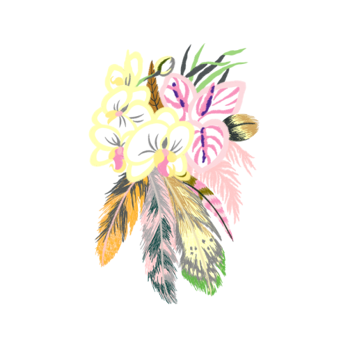 Epidendrum Flowers Epidendrum Flowers