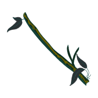 Fish Flowers Fish Flowers