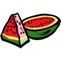 Flashcard Flowers Flashcard Flowers