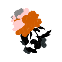 Floral Flowers Floral Flowers