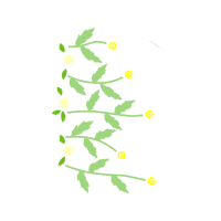 Flower Flowers Flower Flowers