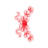 Flower Flowers Flower Flowers