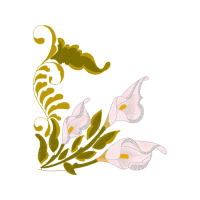 Flower Flowers Flower Flowers