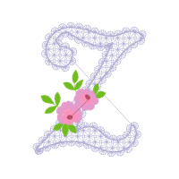 Flower Flowers Flower Flowers