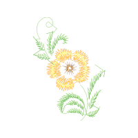 Flower Flowers Flower Flowers