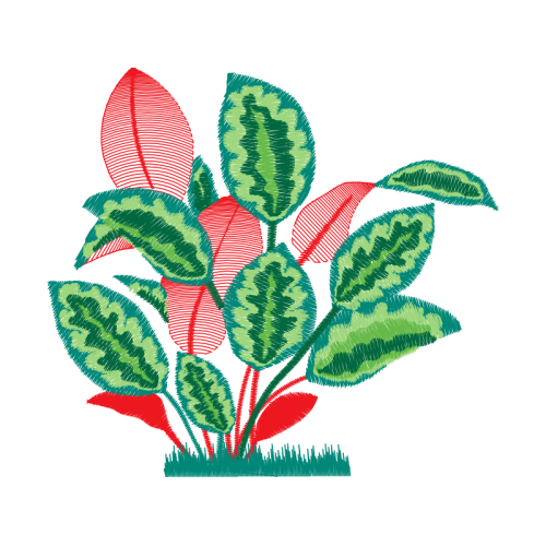 Flower Flowers Flower Flowers