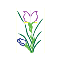 Flower Flowers Flower Flowers