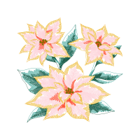 Flower Flowers Flower Flowers