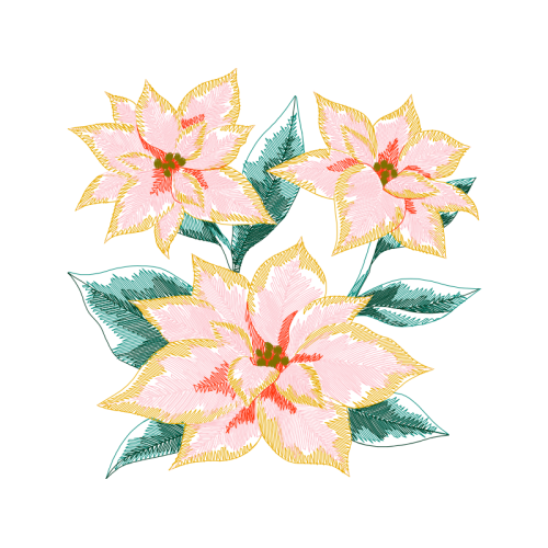 Flower Flowers Flower Flowers