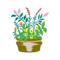 Flower Flowers Flower Flowers