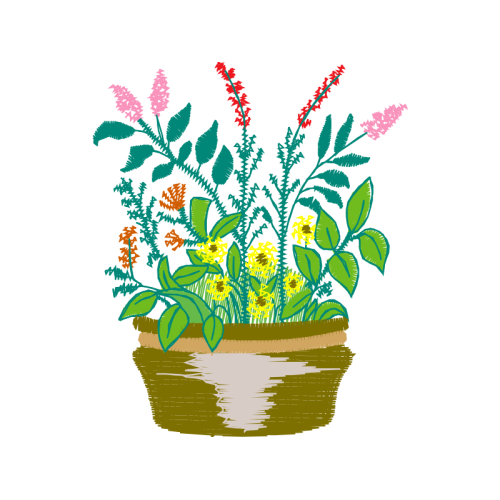 Flower Flowers Flower Flowers