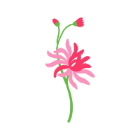 Flower Flowers Flower Flowers