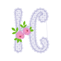 Flower Flowers Flower Flowers