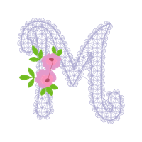 Flower Flowers Flower Flowers