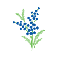 Flower Flowers Flower Flowers