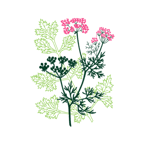 Flower Flowers Flower Flowers