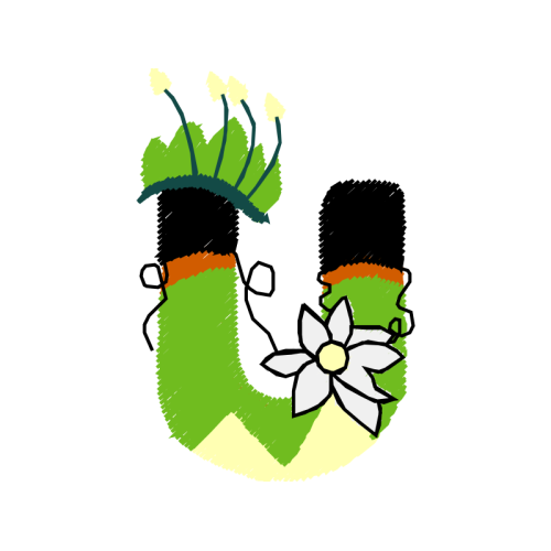 Flower Flowers Flower Flowers